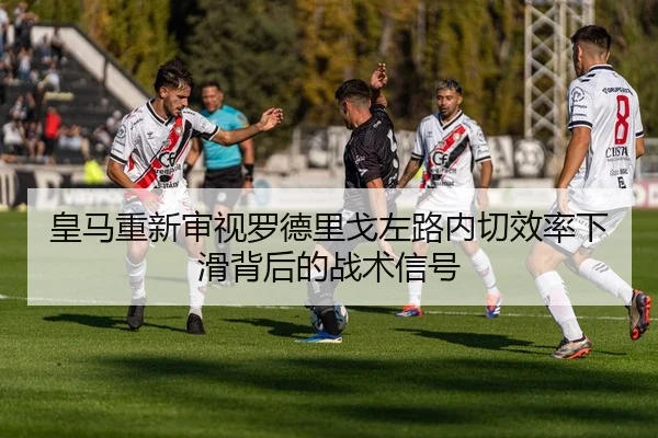 huang-ma-chong-xin-shen-shi-luo-de-li-ge-zuo-lu-nei-qie-xiao-lv-xia-hua-bei-hou-de-zhan-shu-xin-hao-3-566.jpg